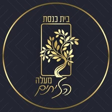 בית הכנסת מעלה הזיתים